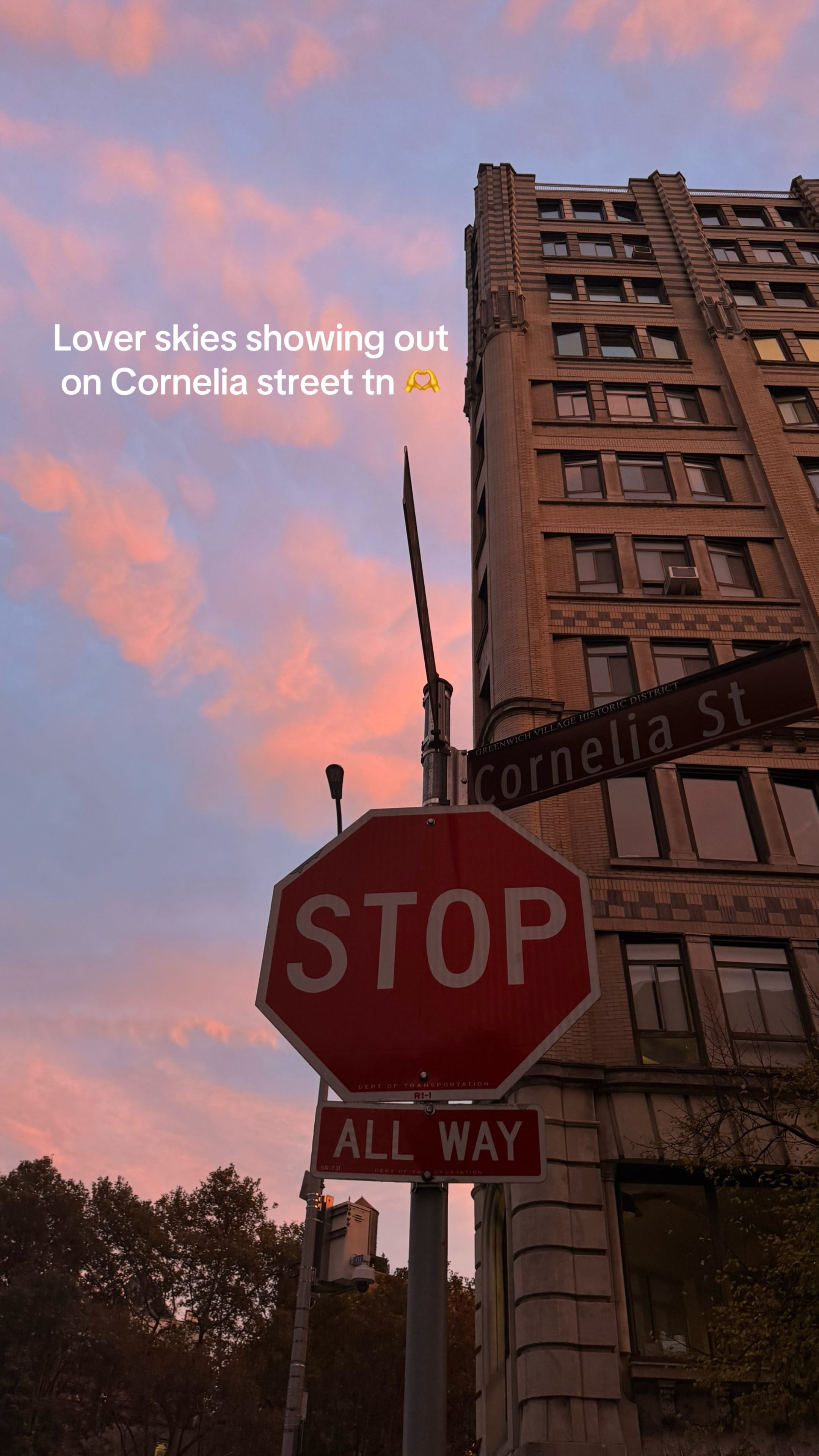 Post 7 by Sophia Blake on TikTok (video)