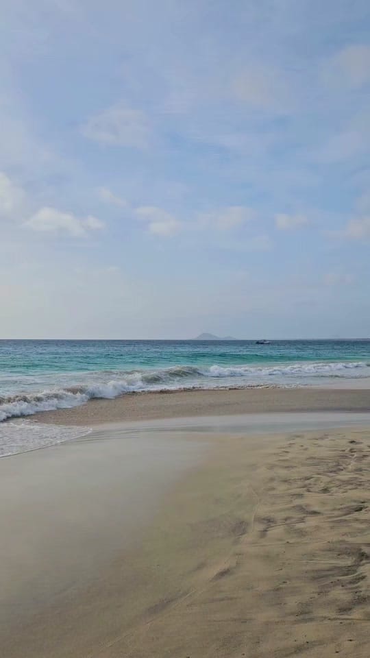 Post 3 by marieelala on TikTok (video)