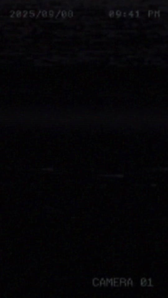 Post 3 by NuSkoolEvents on TikTok (video)