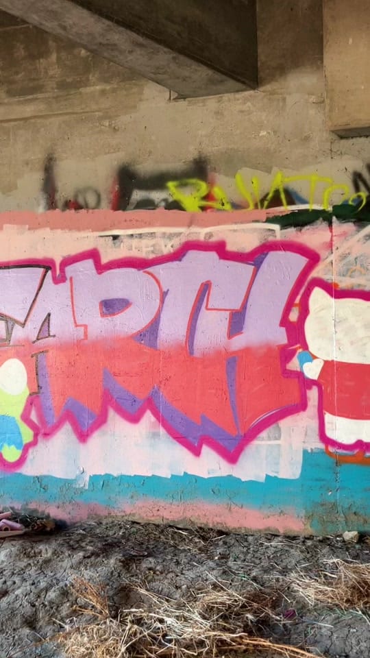 Post 1 by Earthgirl🌱 on TikTok (video)