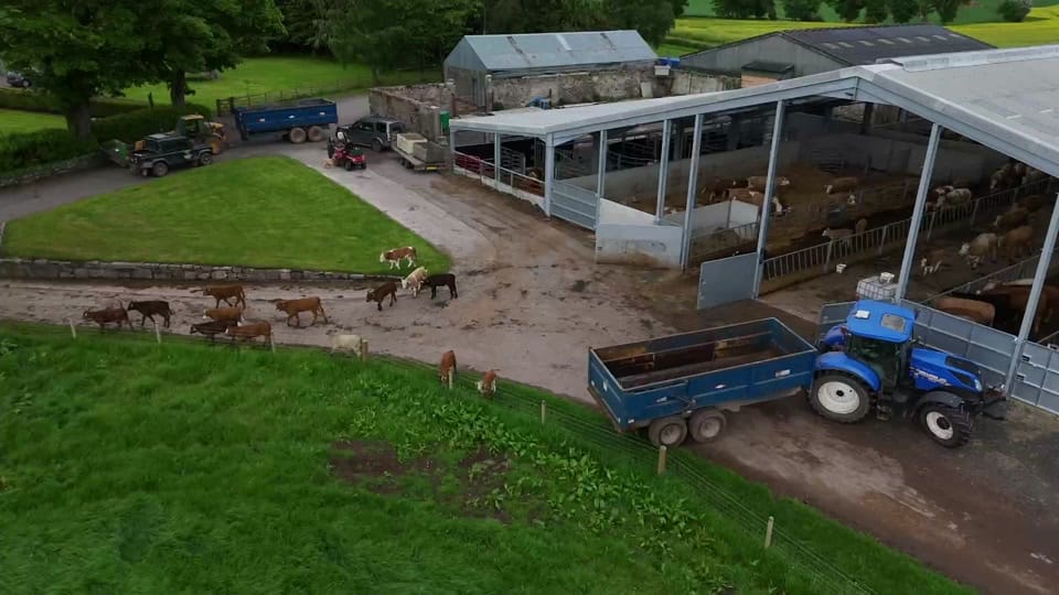 Post 6 by crawfords_farm on TikTok (video)