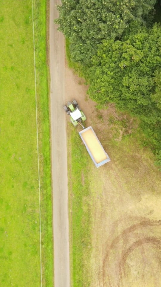 Post 10 by crawfords_farm on TikTok (video)