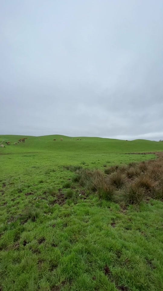 Post 7 by crawfords_farm on TikTok (video)