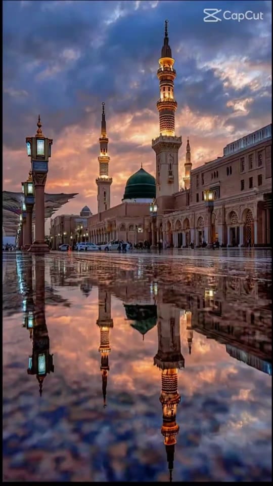 Post 3 by SAM سرکار on TikTok (video)