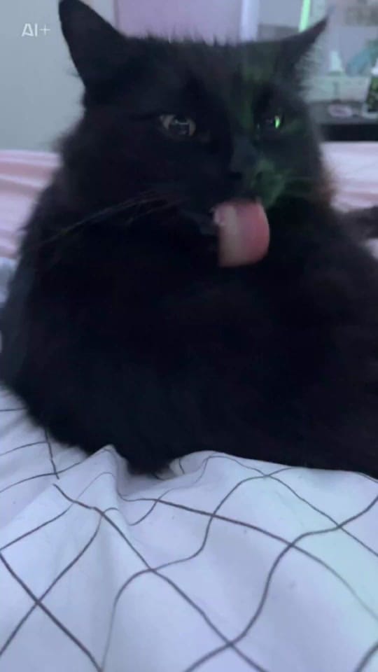 Post 4 by jem_s_tar on TikTok (video)