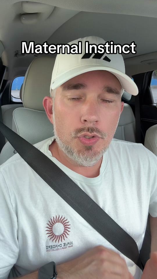 Post 1 by David☑️ on TikTok (video)