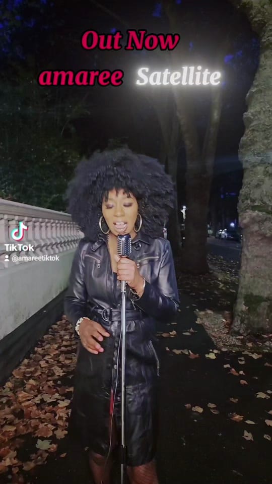 Post 9 by amaree on TikTok (video)