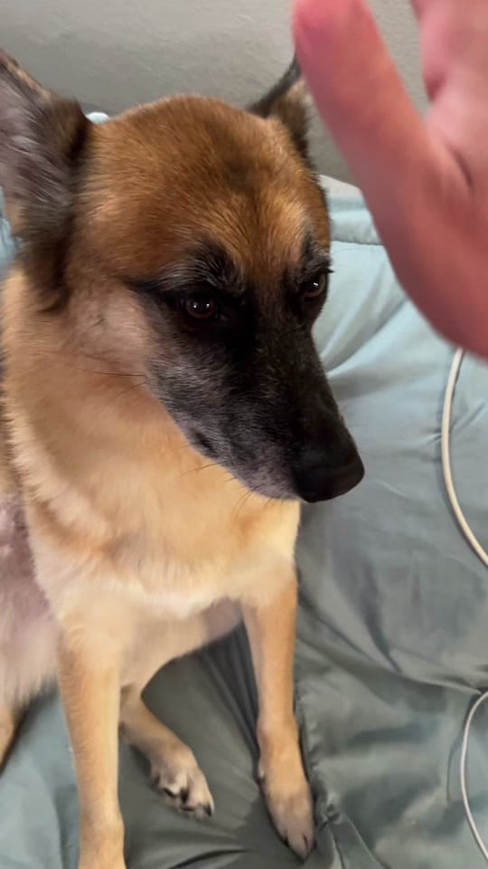 Post 9 by isaiahblood on TikTok (video)