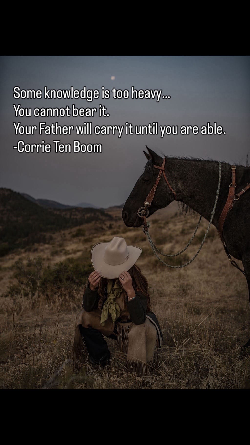 Post 7 by Big Sky Wild Rags on TikTok (video)