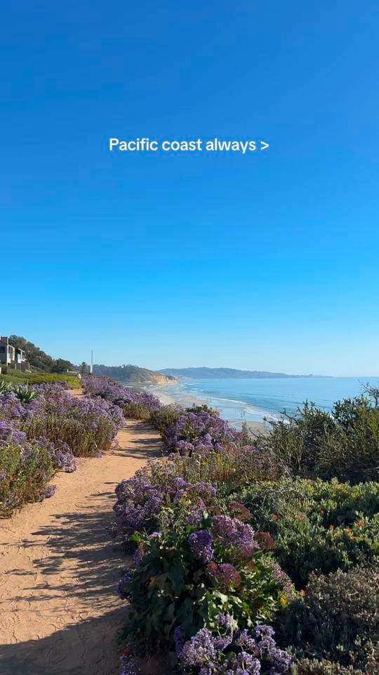 Post 7 by Gracieknoth on TikTok (video)