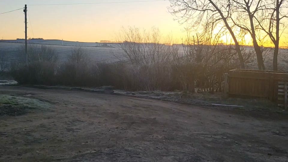 Post 2 by Paul on TikTok (video)