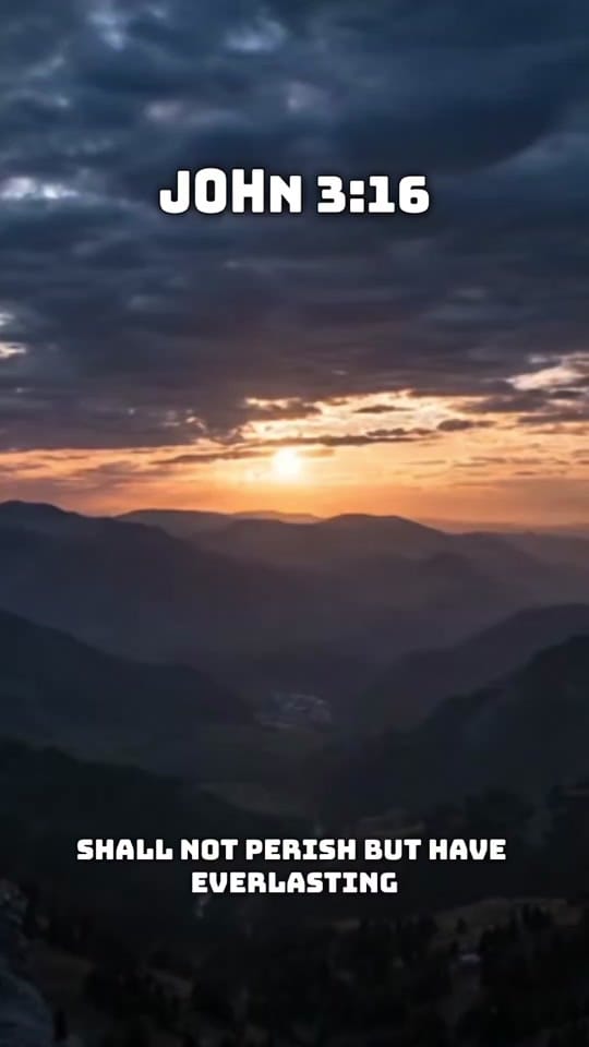 Post 4 by Boyd United on TikTok (video)