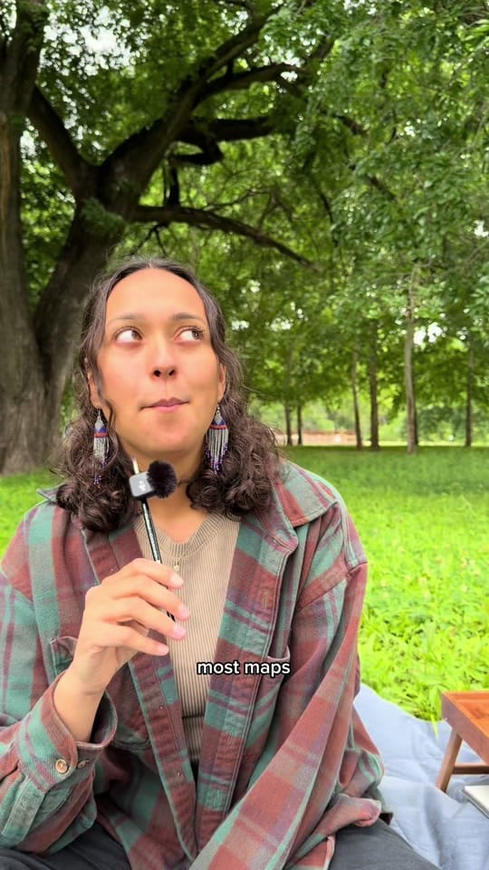 Post 9 by earthtoalena on TikTok (video)