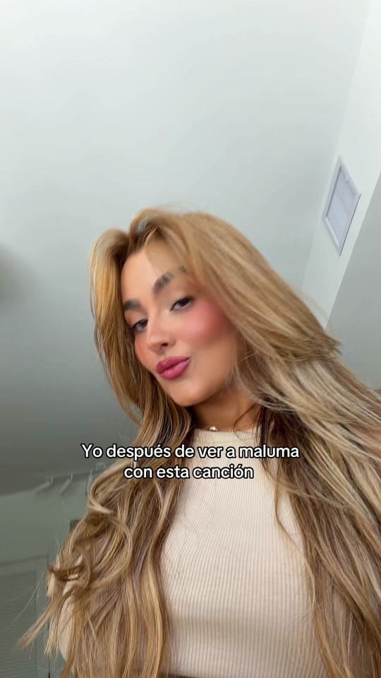 Post 1 by sofimakeup_ on TikTok (video)