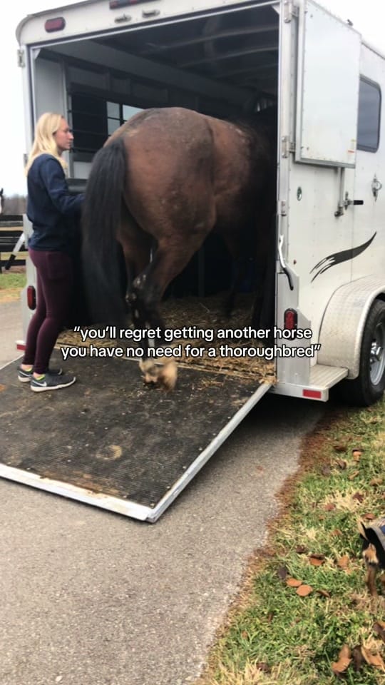 Post 2 by blakley on TikTok (video)