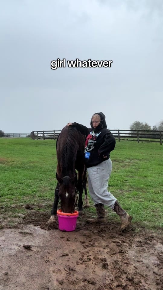 Post 9 by blakley on TikTok (video)