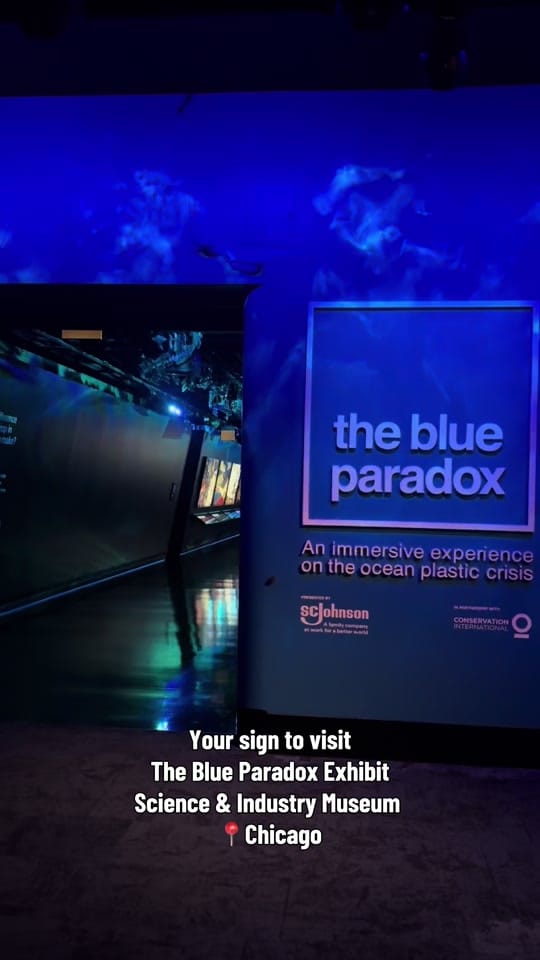 Post 1 by VALERIA DIAZ on TikTok (video)