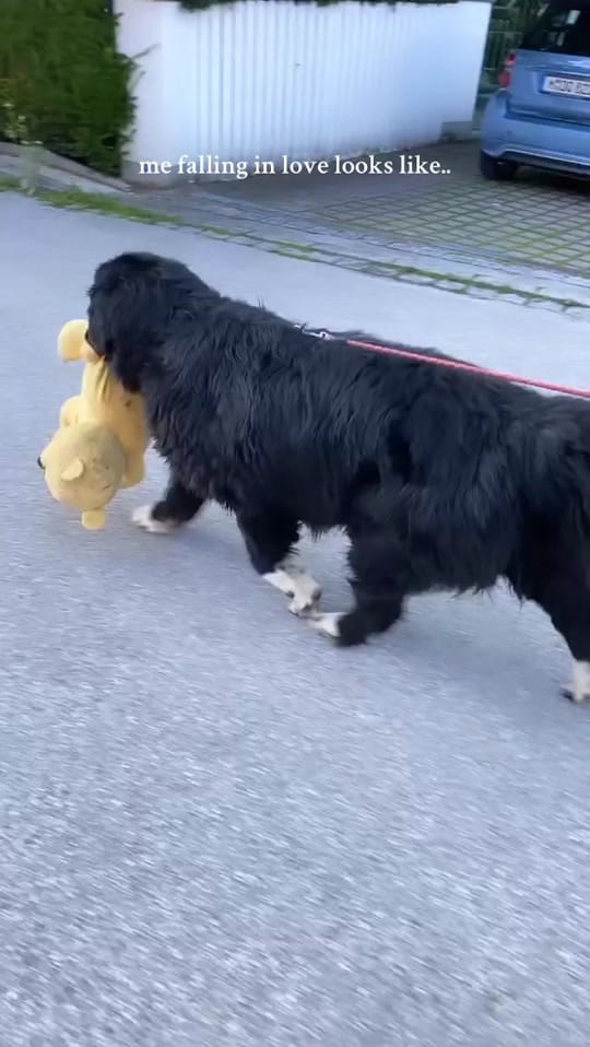 Post 6 by Isabelle Denise on TikTok (video)