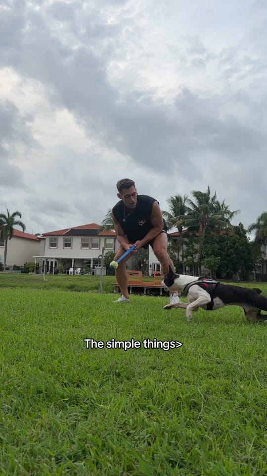 Post 10 by matthew_chamberlin_ on TikTok (video)