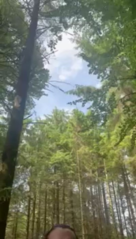 Post 1 by thecoronastiktok on TikTok (video)