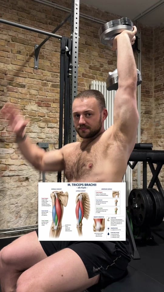 Post 10 by Fritz Reincke on TikTok (video)