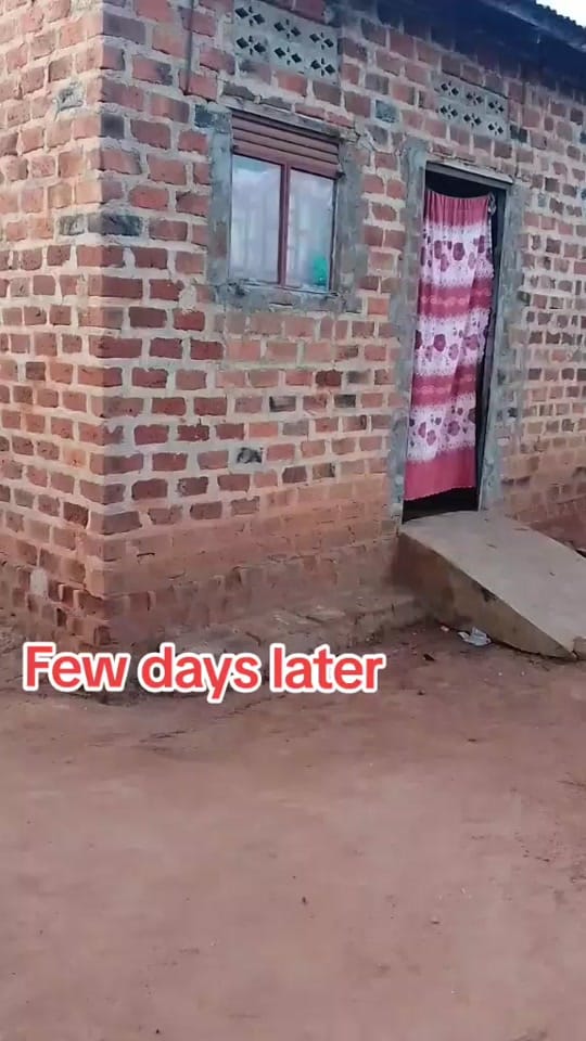 Post 8 by Future Brighton Official on TikTok (video)