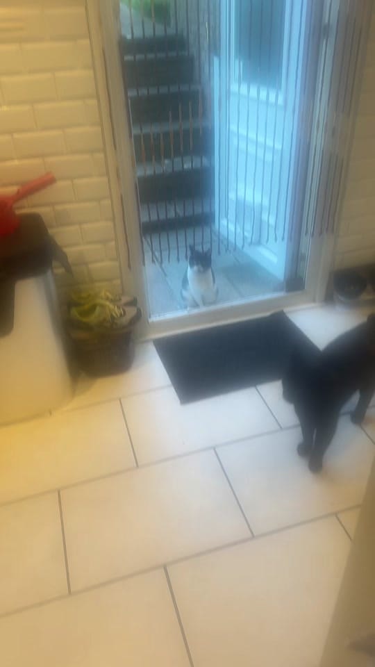 Post 1 by Joe Killington on TikTok (video)