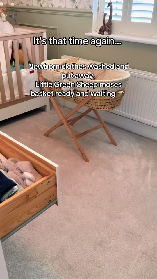Post 8 by Ellen Williams | Singer & Mum on TikTok (video)