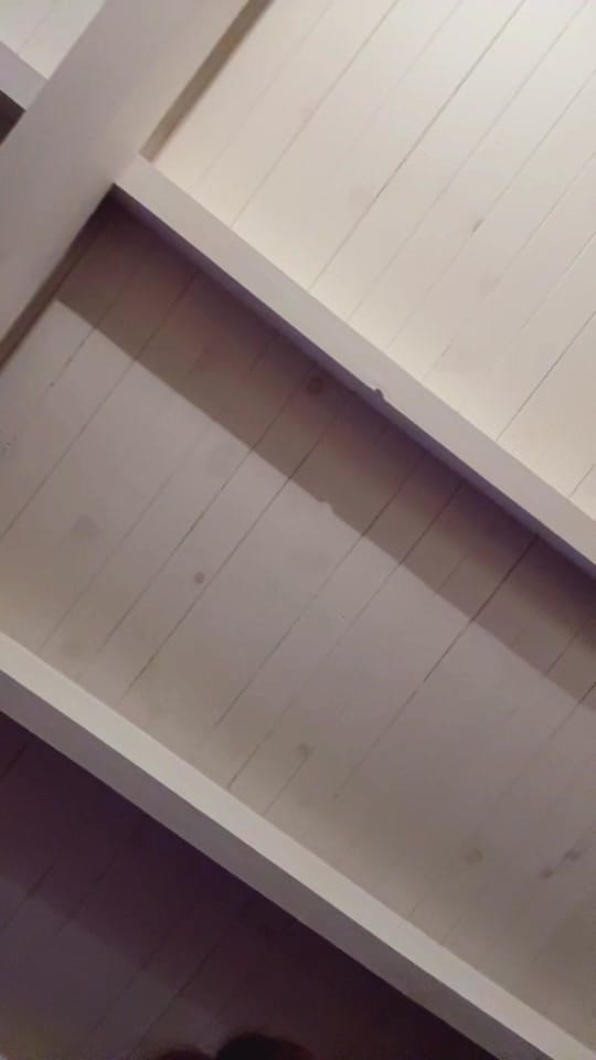 Post 10 by emily | gouache artist on TikTok (video)
