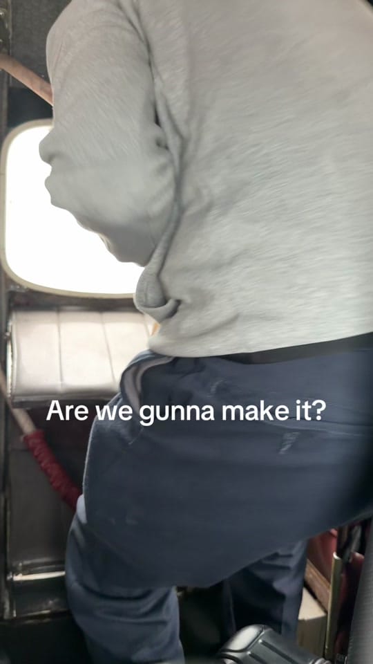 Post 4 by AlligatorJesus on TikTok (video)