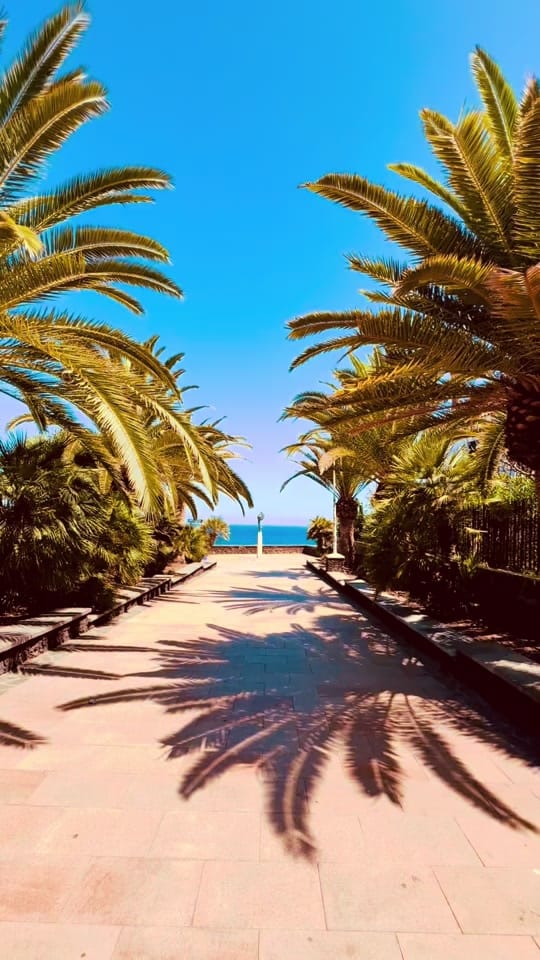 Post 4 by Joerg on TikTok (video)