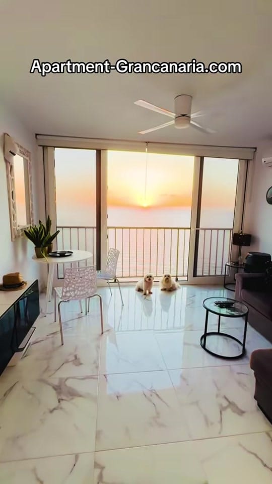 Post 5 by Joerg on TikTok (video)