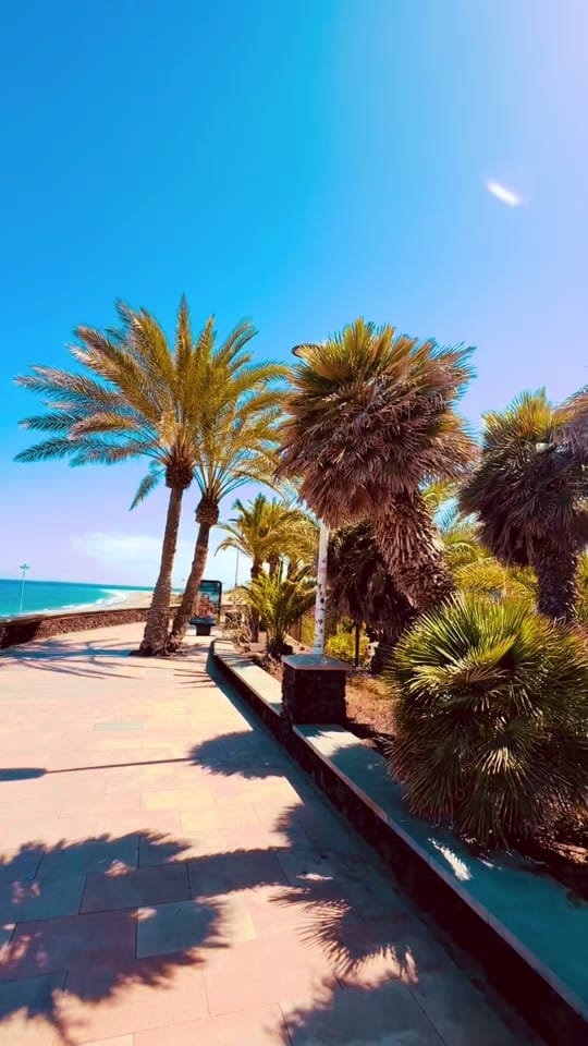 Post 6 by Joerg on TikTok (video)
