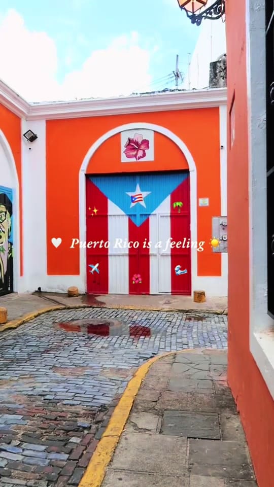 Post 6 by Aryn 🌸🐻 on TikTok (video)
