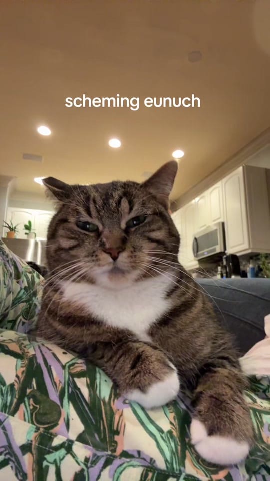Post 7 by Nick on TikTok (video)