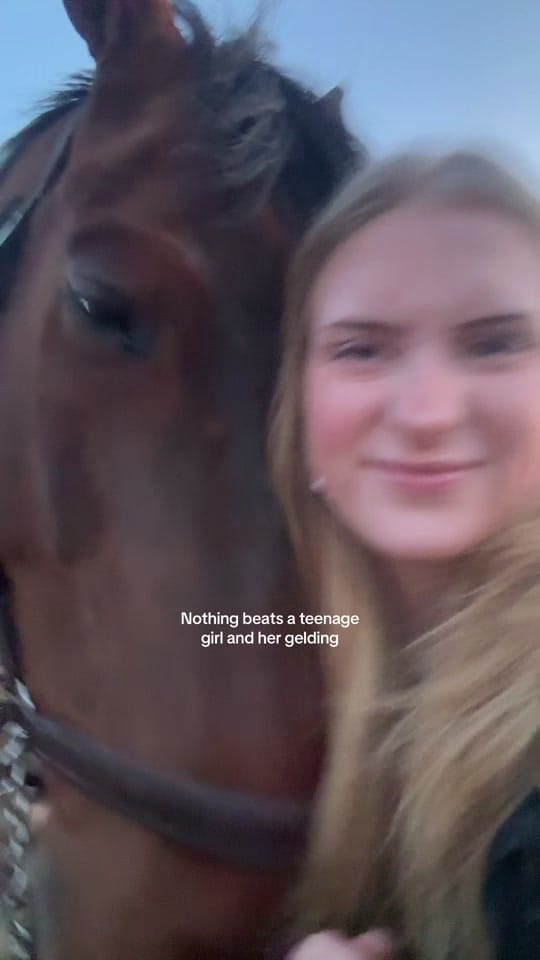 Post 3 by Minea Wiggerud on TikTok (video)