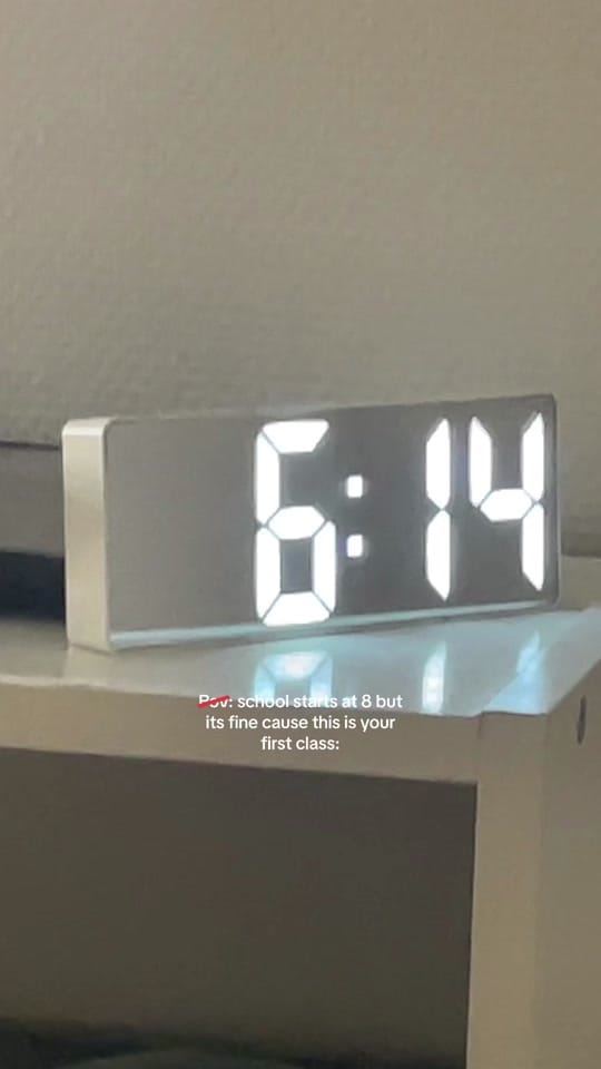 Post 9 by Minea Wiggerud on TikTok (video)