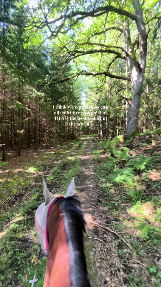 Post 2 by Minea Wiggerud on TikTok (video)