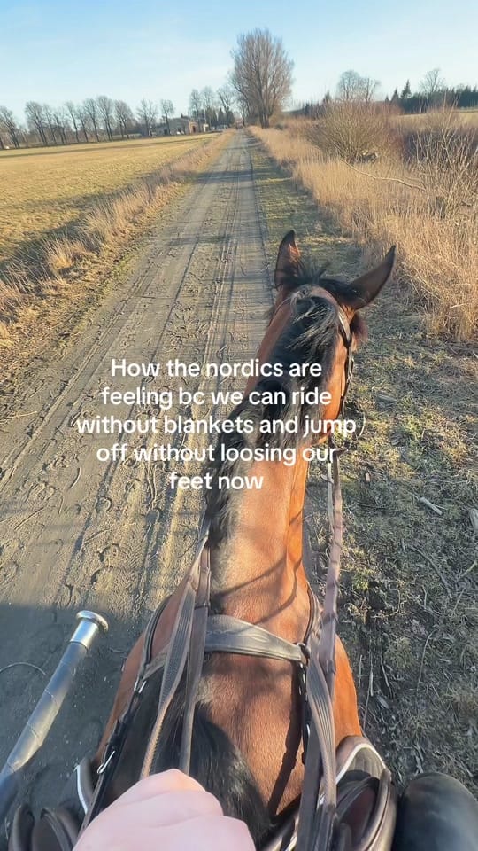 Post 5 by Minea Wiggerud on TikTok (video)