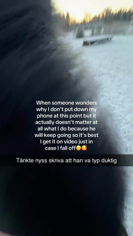 Post 6 by Minea Wiggerud on TikTok (video)
