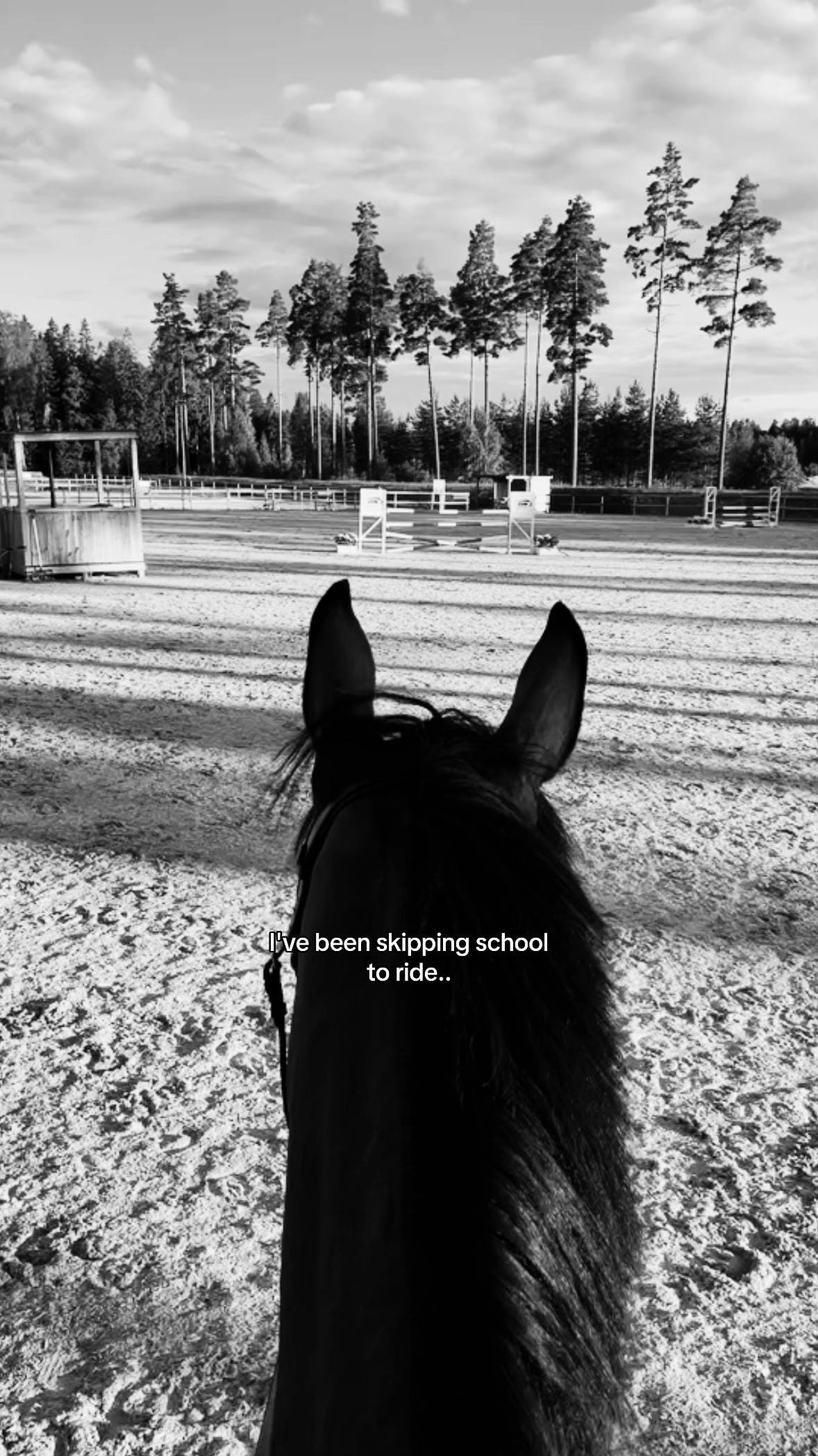 Post 1 by Minea Wiggerud on TikTok (video)