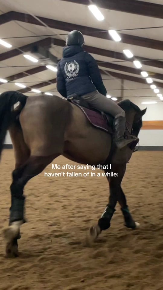 Post 10 by Minea Wiggerud on TikTok (video)