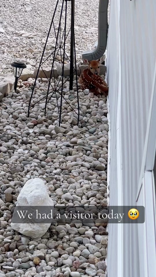 Post 5 by Alexandra Coleman on TikTok (video)