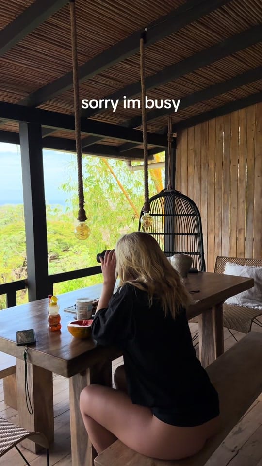 Post 4 by majaleoniedole on TikTok (video)