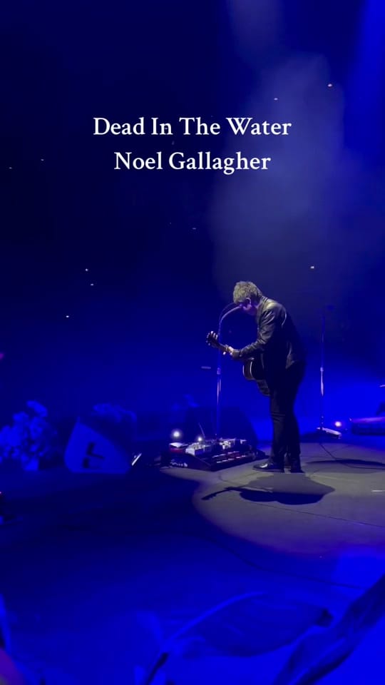 Post 2 by Manchester Lemon on TikTok (video)
