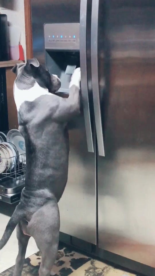 Post 10 by TxEMT.Momo on TikTok (video)