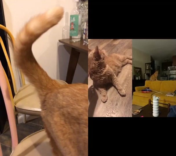 Post 2 by Cute Fruit Undies on TikTok (video)