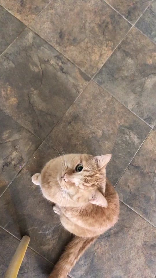 Post 4 by Cute Fruit Undies on TikTok (video)