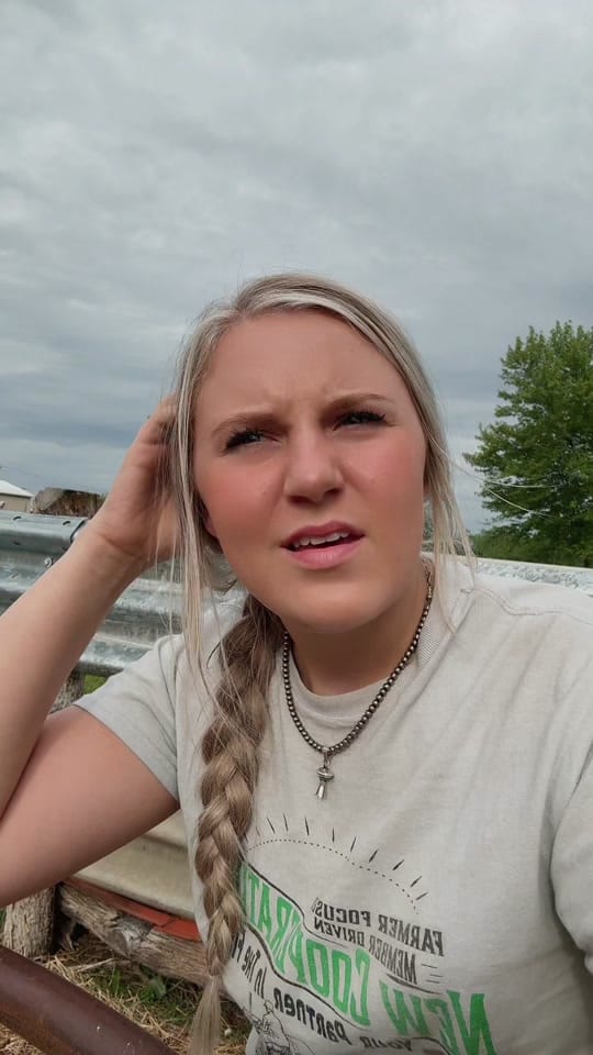 Post 2 by lizzyswartzentruber on TikTok (video)