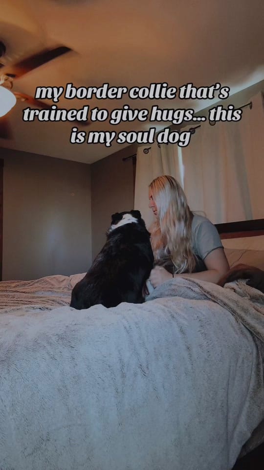 Post 5 by lizzyswartzentruber on TikTok (video)